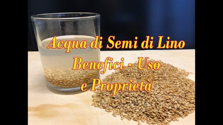 Benefici e Calorie dei Semi di Lino