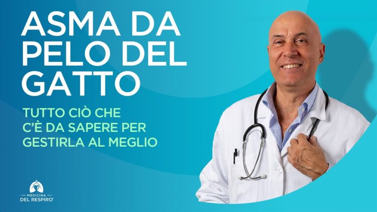 Allergia al gatto: sintomi e manifestazioni