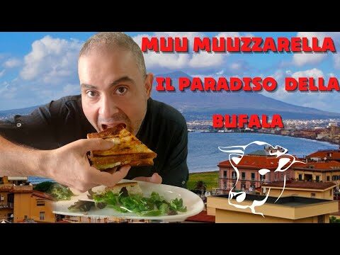 Calorie della Mozzarella di Bufala: Guida Nutrizionale e Benefici