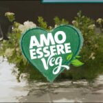 Visita medica preassuntiva: guida completa