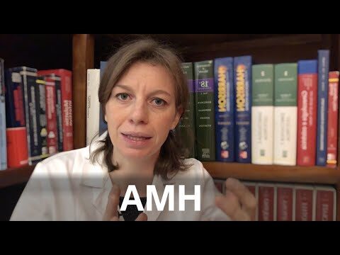 Valori AMH Ottimali per FIVET: Guida Essenziale