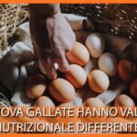 Cibi Consigliati per Combattere il Virus Intestinale