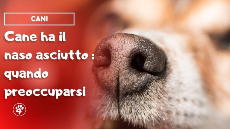 Trattamento efficace per naso secco con croste