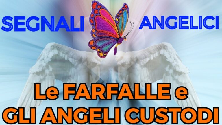Le Farfalle Portano Messaggi