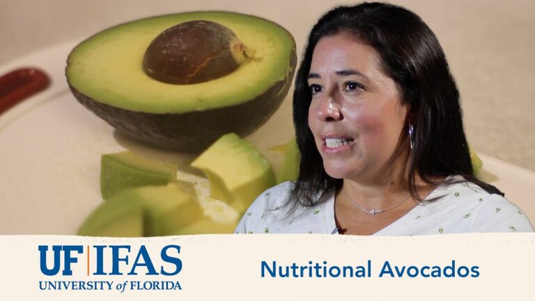 Calorie nell’Avocado: Benefici e Valori Nutrizionali