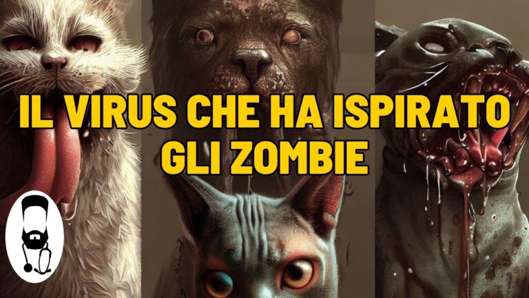 Importanza della Vaccinazione Contro l’Idrofobia