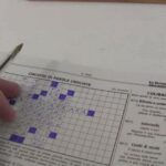 Verruche: scopri l’inaspettato potere della candeggina!