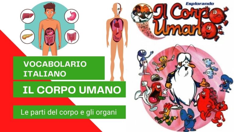 L’Insieme del Sapere Umano: Esplorazione e Conoscenza