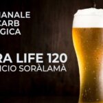 Torta al Cucchiaio: la Ricetta Soffice e Velocissima in 70 Caratteri!