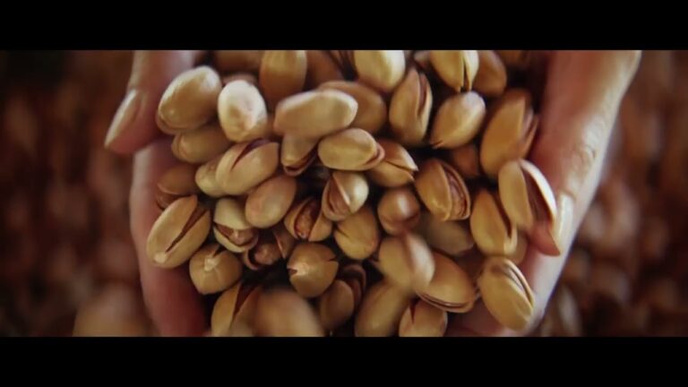 Gelato NUII al Pistacchio: Un’Esperienza Gourmet Unica