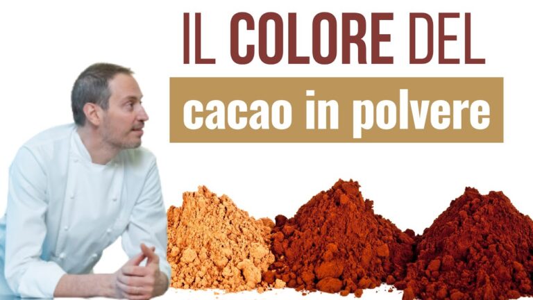Valori Nutrizionali delle Fave di Cacao
