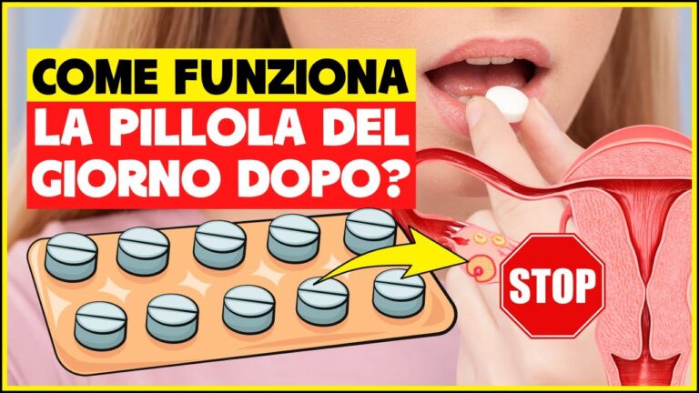Se Il Ciclo Arriva La Sera Quando Prendere La Pillola