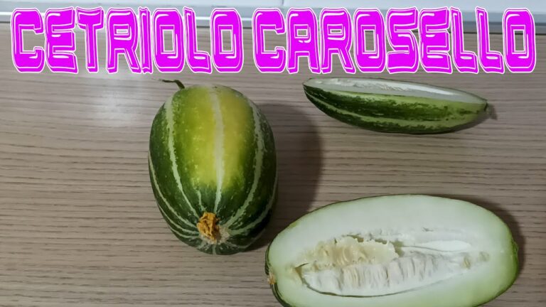 Carosella Verdura: Il Segreto di una Cucina Sostenibile