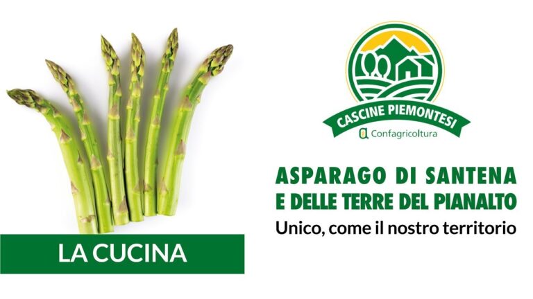 Calorie degli Asparagi: Valore Nutrizionale per 100 Grammi