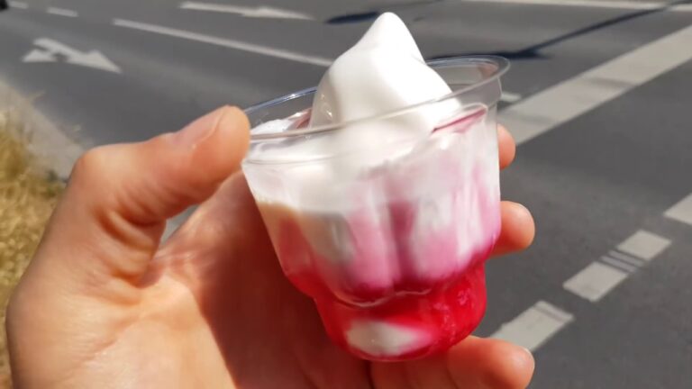 Sundae Mc: Delizia a Basso Contenuto Calorico