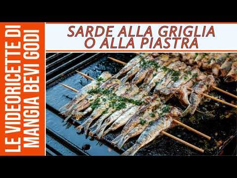 Sardine AI Ferri: Innovazione e Sostenibilit&agrave; nel Settore della Pesca
