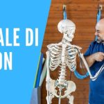 Advantix: Effetti Collaterali Sconvolgenti? Scopri Cosa Fare!