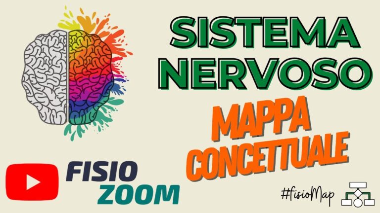 Guida Visiva al Sistema Nervoso: Mappa Concettuale Essenziale