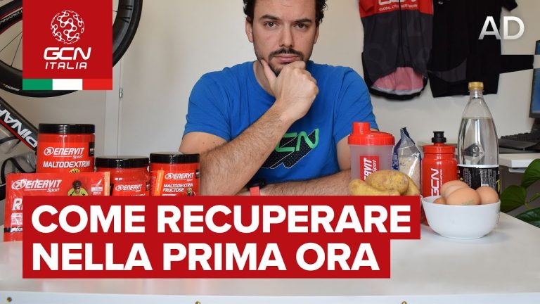 Calorie della Birra da 66 Cl: Guida Completa | Actualizado diciembre 2025
