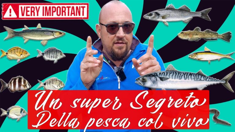 Calorie della Ricciola: Guida Nutrizionale Essenziale