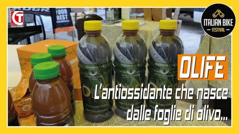 Kilocalorie dell’Olio d’Oliva: Guida Essenziale