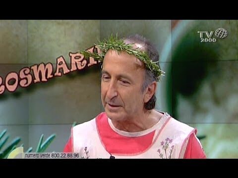 Soluzioni al Cruciverba: Infiammazione nella Zona dello Stomaco