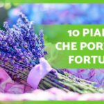 Validità Corso Preposto: 2 Anni di Formazione Certificata