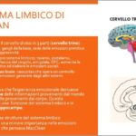 Guida al Progetto Ponteggio: Ottimizzazione e Concisione