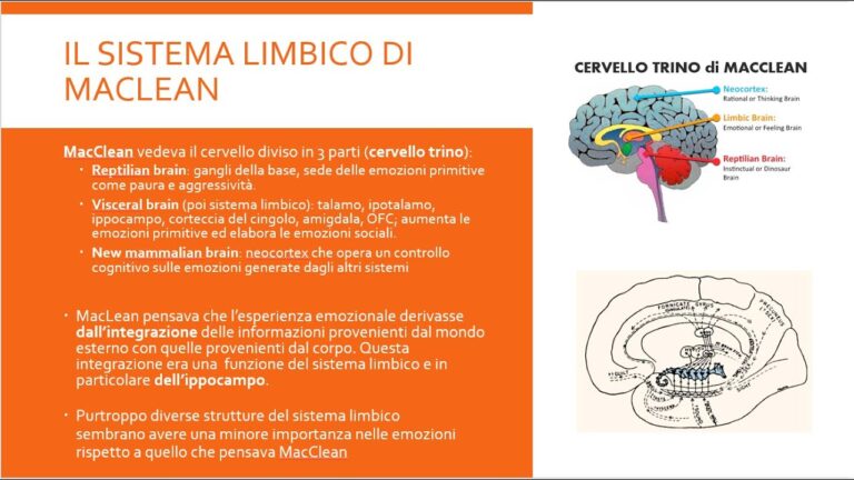 La Teoria del Cervello Emotivo: Comprendere le Emozioni Umane