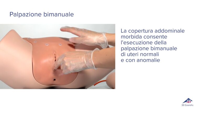 Strumenti Essenziali per la Visita Ginecologica