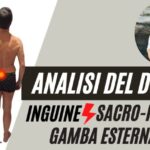 Quando piantare l’avocado per la fruttificazione