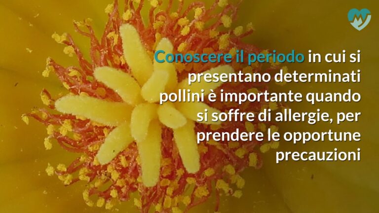 Guida al Calendario dei Pollini per Allergici
