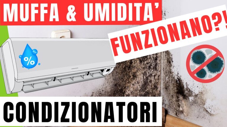 Il Deumidificatore: Vantaggi e Rischi per la Salute