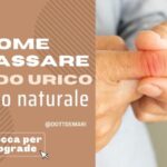 Calorie delle Nocciole: Valore Nutrizionale per 100 Grammi