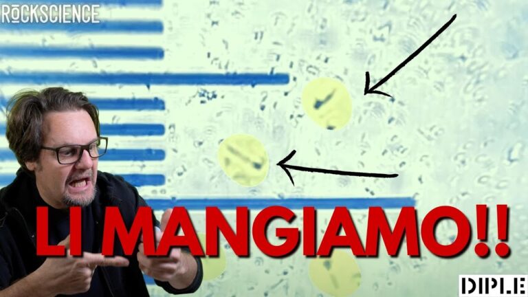 Benefici dei Fermenti Lattici Prima di un Viaggio