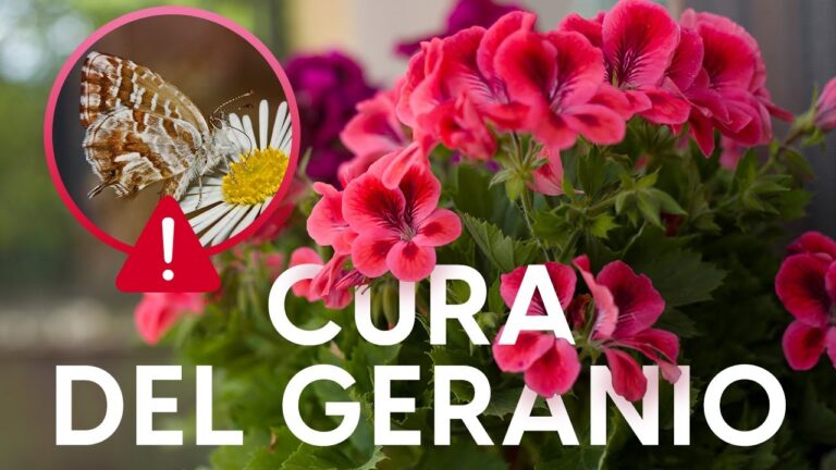 Guida alla Prevenzione e Cura della Malattia del Geranio