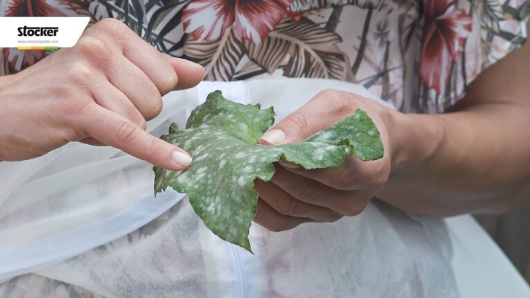 Acqua Sulfurea: Controindicazioni e Precauzioni da Conoscere