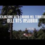 La magia delle prime foglioline: scopri come si sviluppano dal seme!