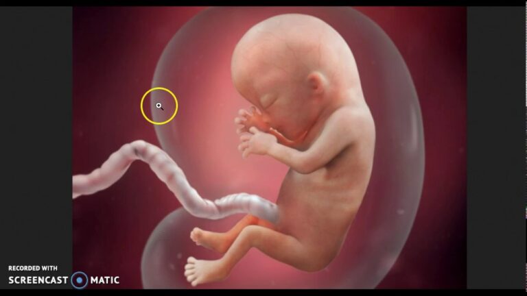Ho Espulso la Spirale: Un Nuovo Inizio
