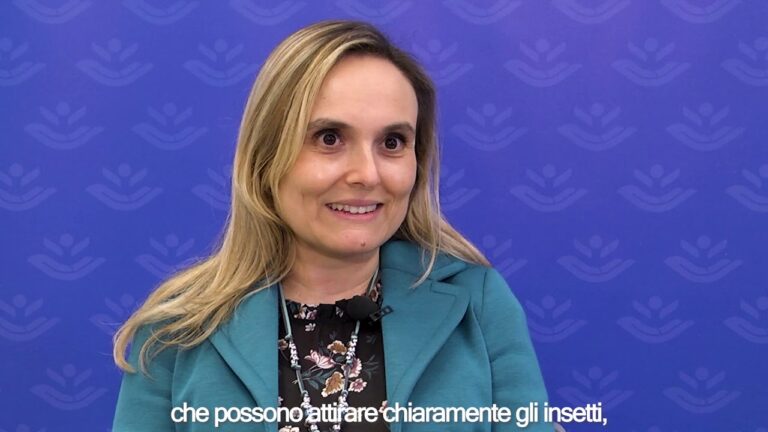 Rimedi Efficaci per le Allergie alle Puncture di Zanzare