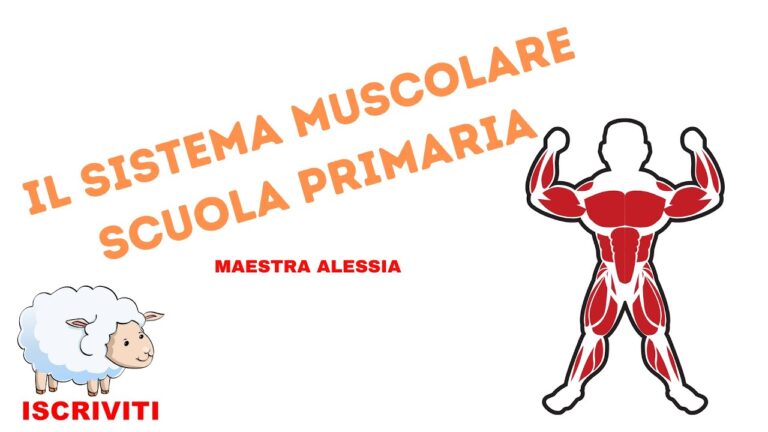 Ottimizzare l’allenamento: Tecniche per lavorare sui muscoli