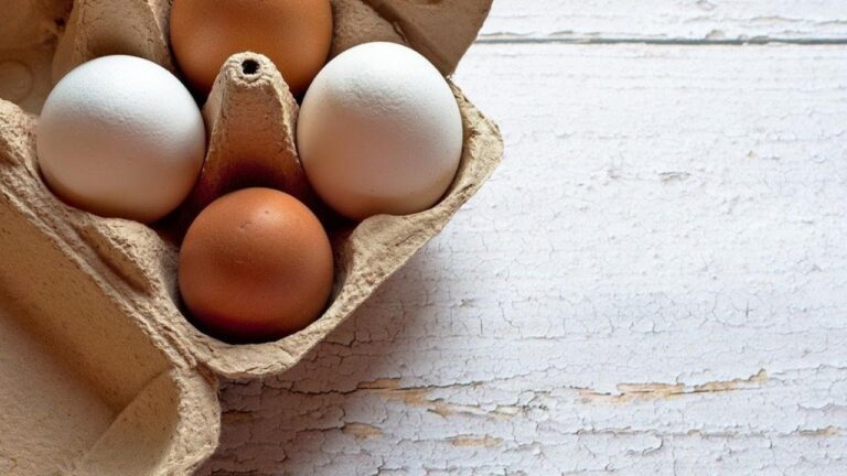 Uova e Diarrea: Possono Essere Consumate?