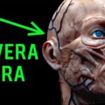 Puiatti Dermatologo: Eccellenza nella Cura della Pelle