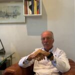 Rimedi Naturali per l’Ascesso nel Gatto