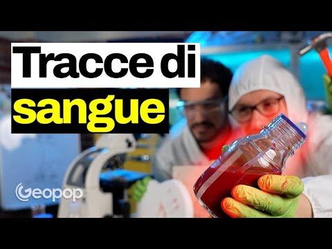 Esplorando la Traccia Ematica: Significato e Applicazioni