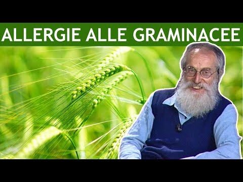 Alimenti da Evitare per Chi Soffre di Allergia al Cipresso