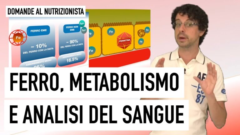 Guida agli Esami del Ferro: Diagnosi e Interpretazione