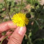 Colori della natura: scopri la tonalità naturale che ti dona!