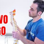 La rigenerazione naturale dello stomaco