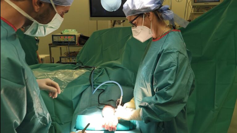 Pronto Soccorso Ortopedico a Milano: Servizi e Eccellenza Sanitaria